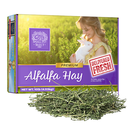 Alfalfa Hay, Small Pet Food: SmallPetSelect
