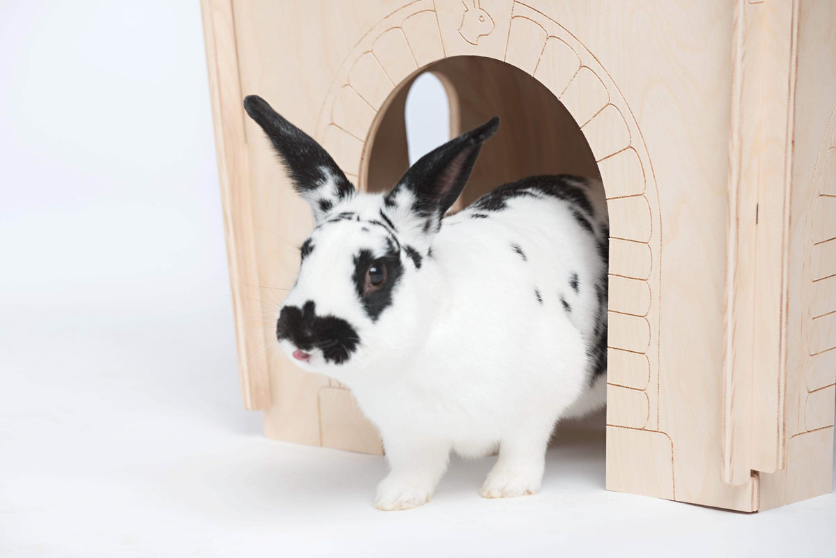 Tiny Paws Hideaway Habitat Tunnel-Large