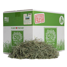Orchard Hay Small Pet Select