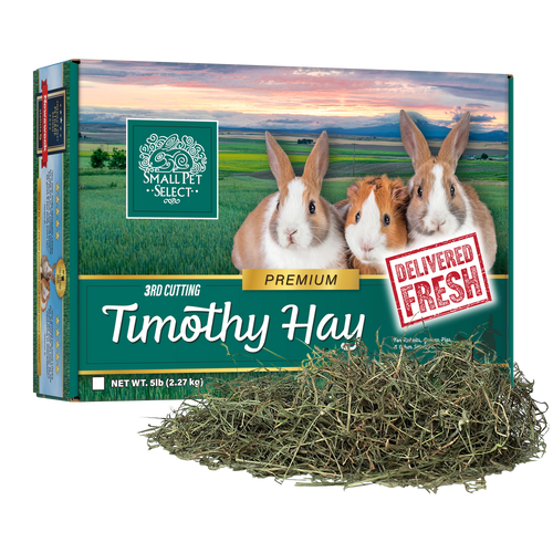 3rd Cutting Timothy Hay: Small Pet Food: Smallpetselect