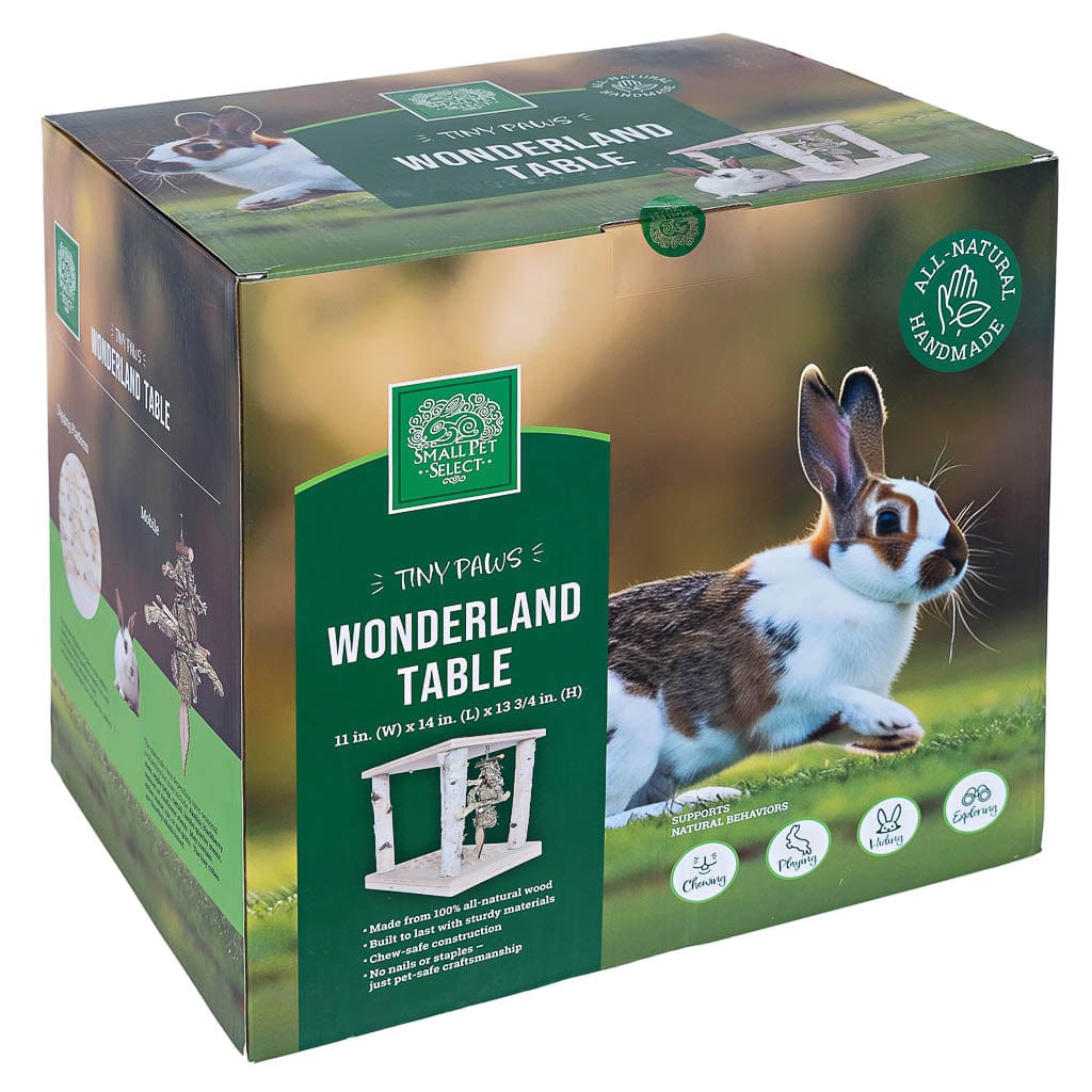 Tiny Paws Wonderland Play Table