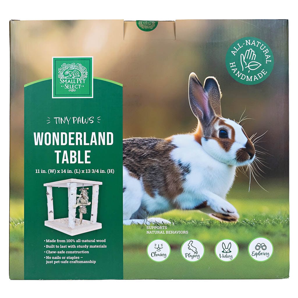 Tiny Paws Wonderland Play Table
