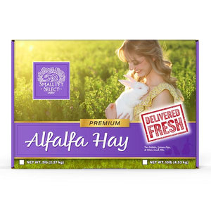 Alfalfa Hay, Small Pet Food: SmallPetSelect