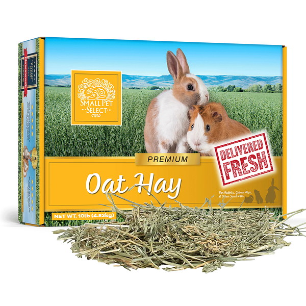 Oat Hay, Small Animal Food Smallpetselect