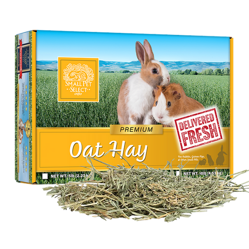 Oat Hay, Small Animal Food:Smallpetselect