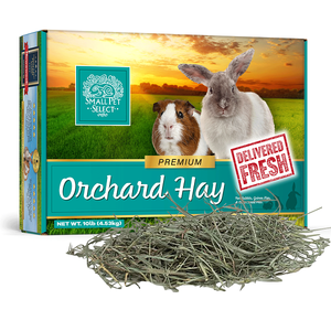 Orchard Hay Small Pet Select
