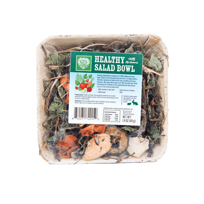 Healthy Salad Bowl