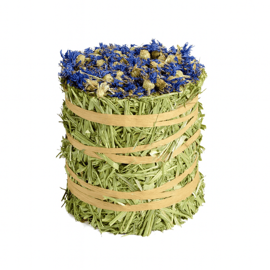 Timothy Hay Roll - Cornflower