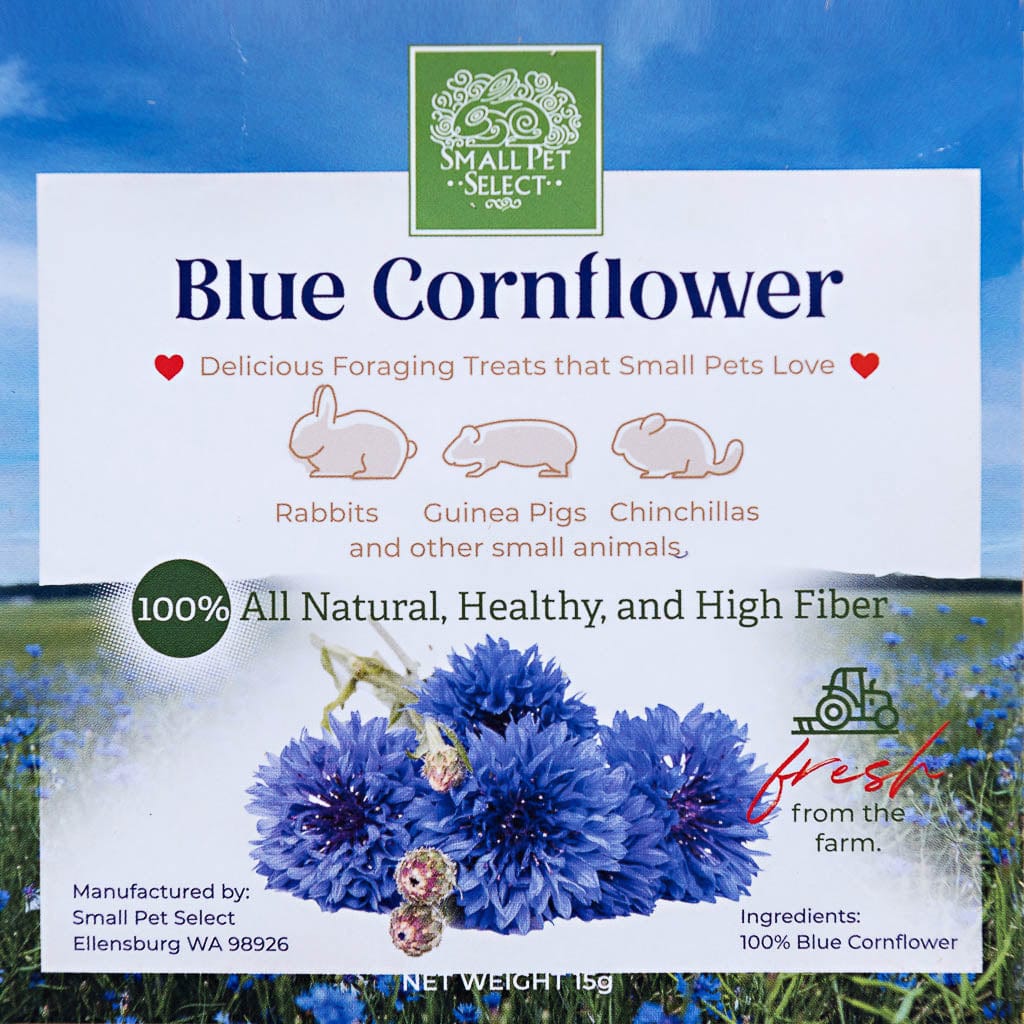 Blue Cornflower Foraging Treats