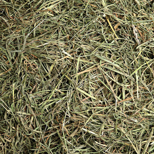 3rd Cutting "Super Soft" Timothy Hay, Small Animal Food:Smallpetselect